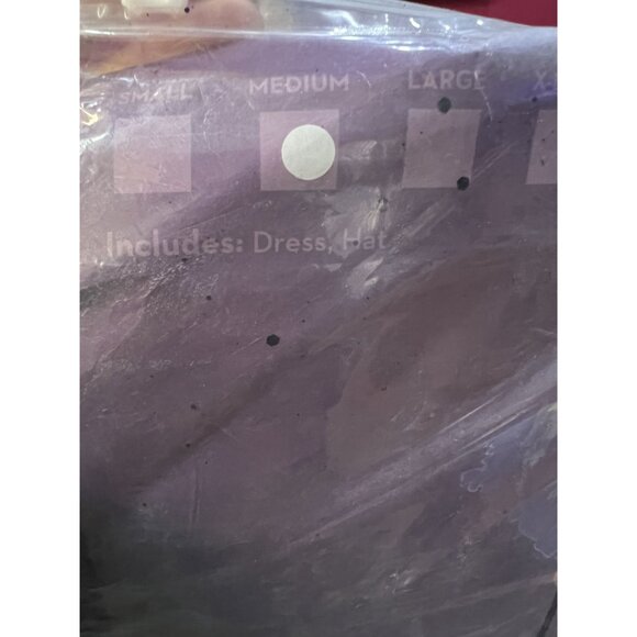 Boo! Wicked Witch Mini Sexy Dress Halloween Costume Hat Gothic Dress Up Party - Picture 8 of 8